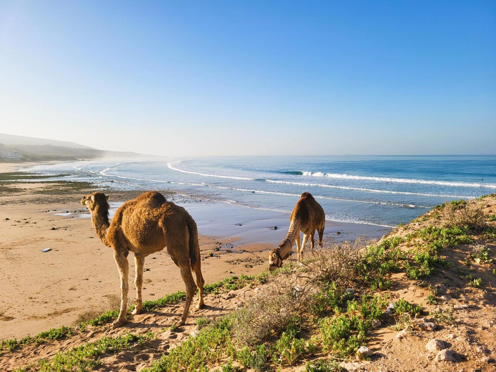 Casa Janoub Morocco Hotel Tamraght Kültér fotó